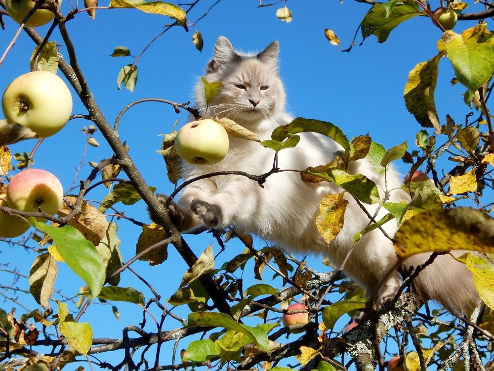 Photograph by Юрий Пучков