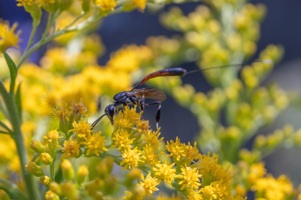Photograph by Высотских Владимир