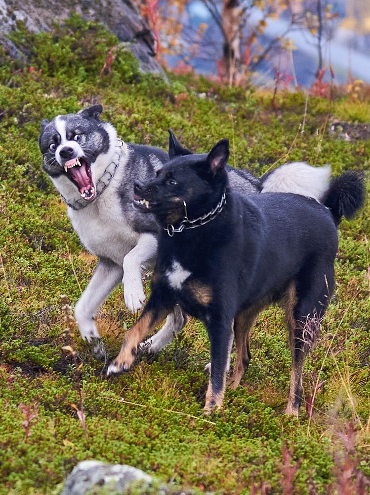 Photograph by Ксения Щербань