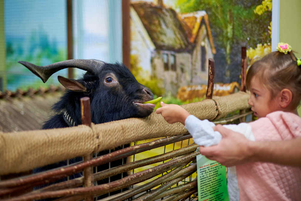 Photograph by Ксения Щербань