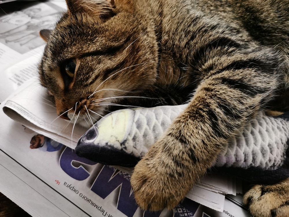 Photograph by Анастасия Мальцева