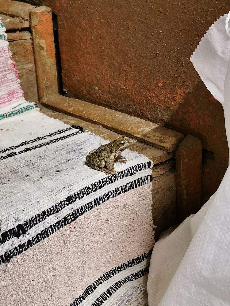 Photograph by Анастасия Мальцева