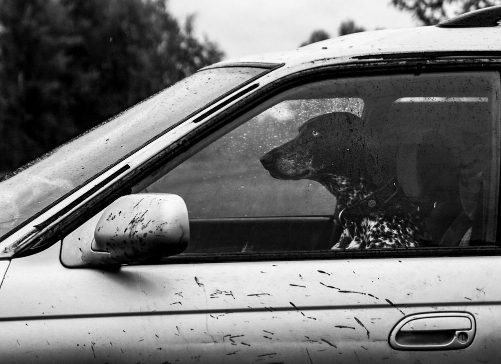 Photograph by Elizaveta Yasyuchenya