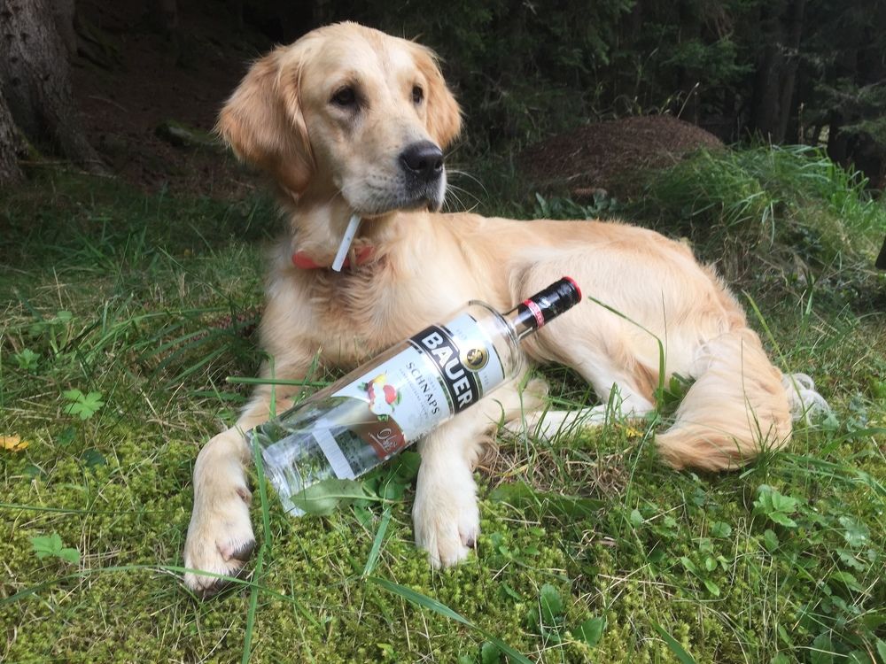 Photograph by Stanislav Strisovsky