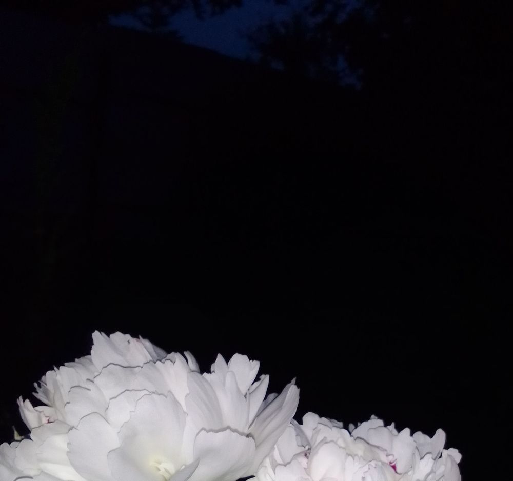 Photograph by Ирина