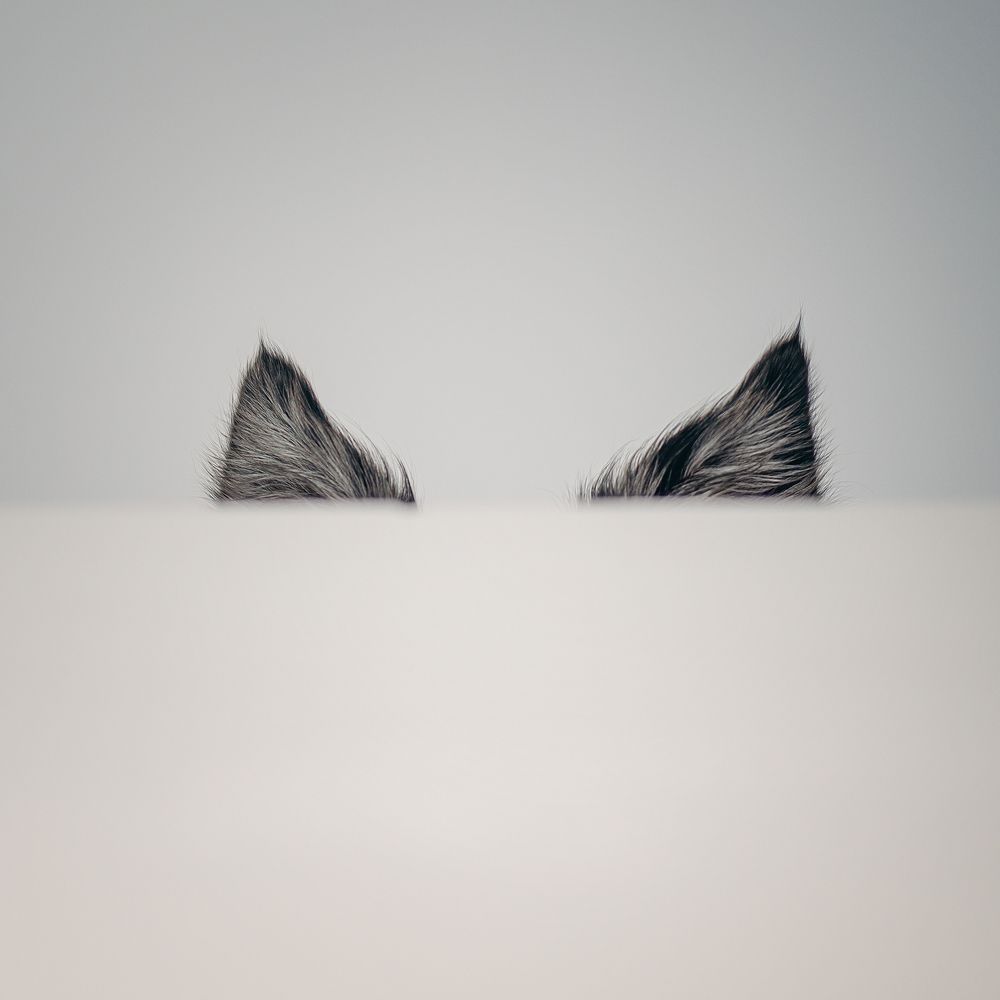 Photograph by Татьяна Полякова