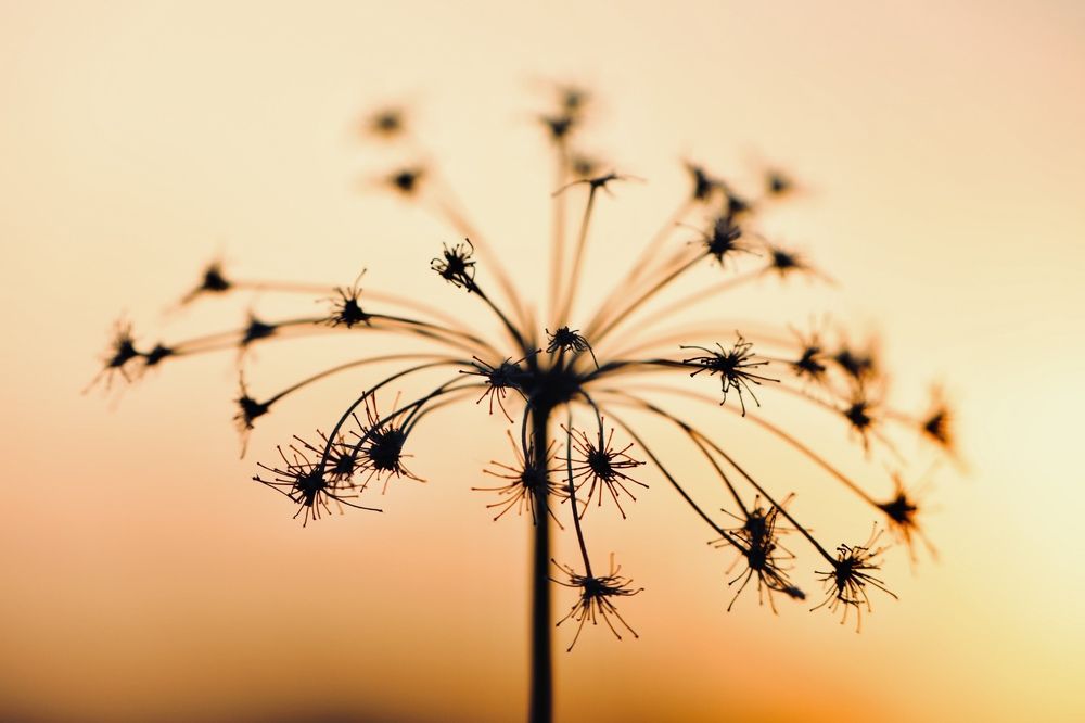 Photograph by Ольга Одаренко