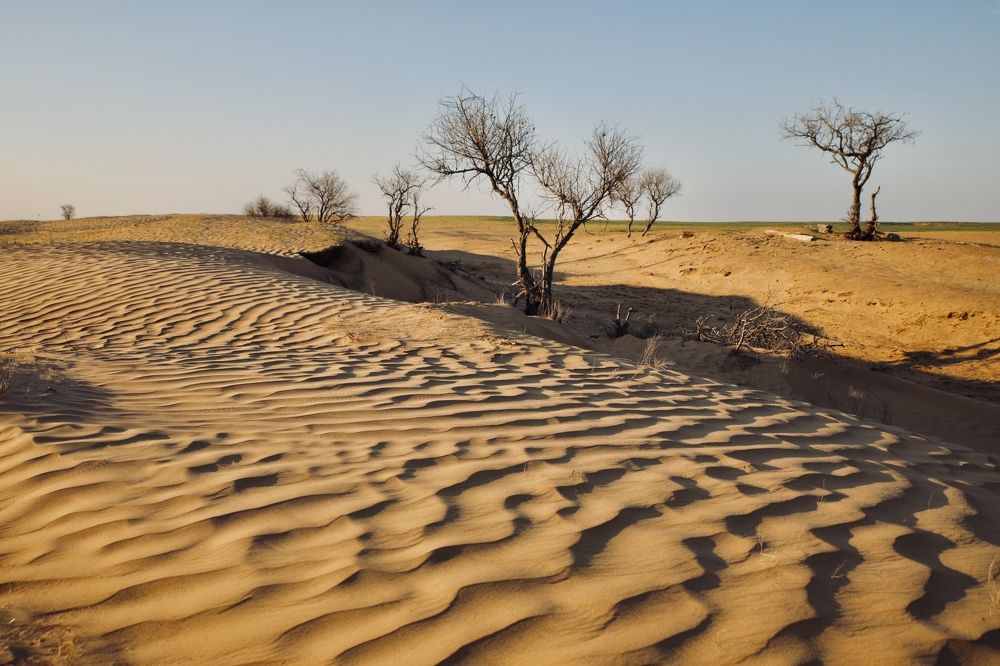 Photograph by Ольга Одаренко