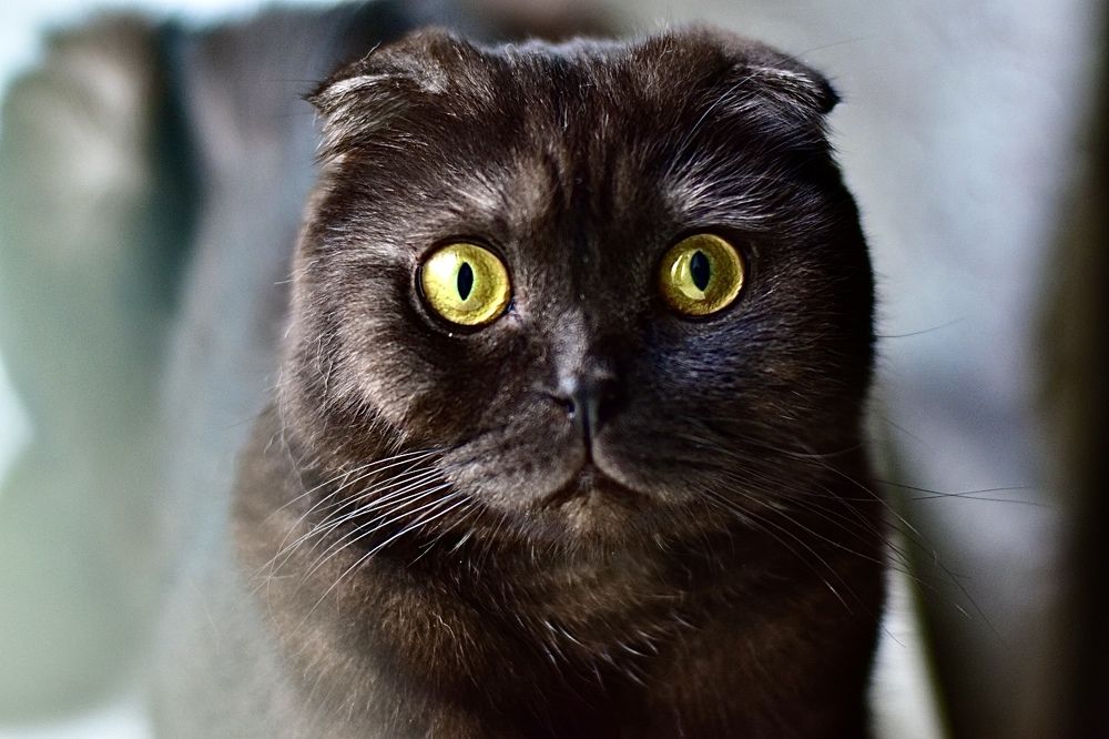 Photograph by Наталья Ситова