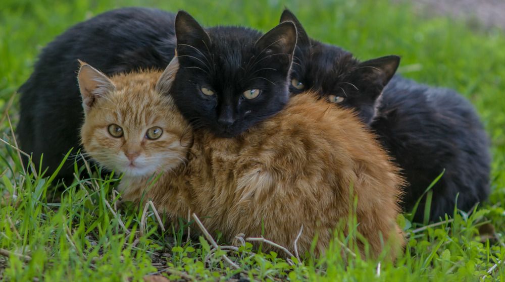 Photograph by Mohammed manaf Suliman