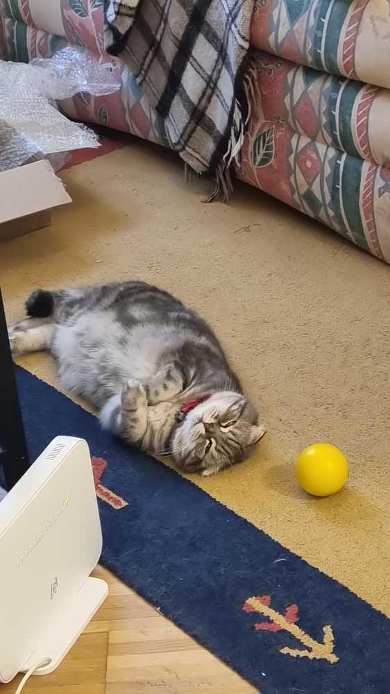 Фотография автора Inna Osminina