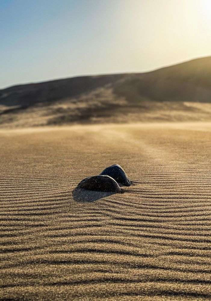 Фотография автора Sandra