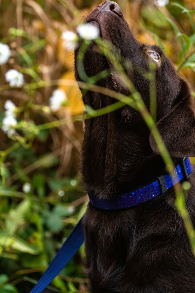 Photograph by Катарина Коземерчак