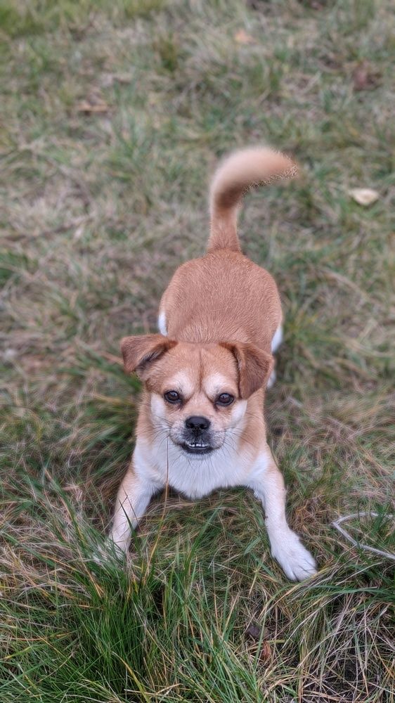 Фотография автора Васильева Ирина