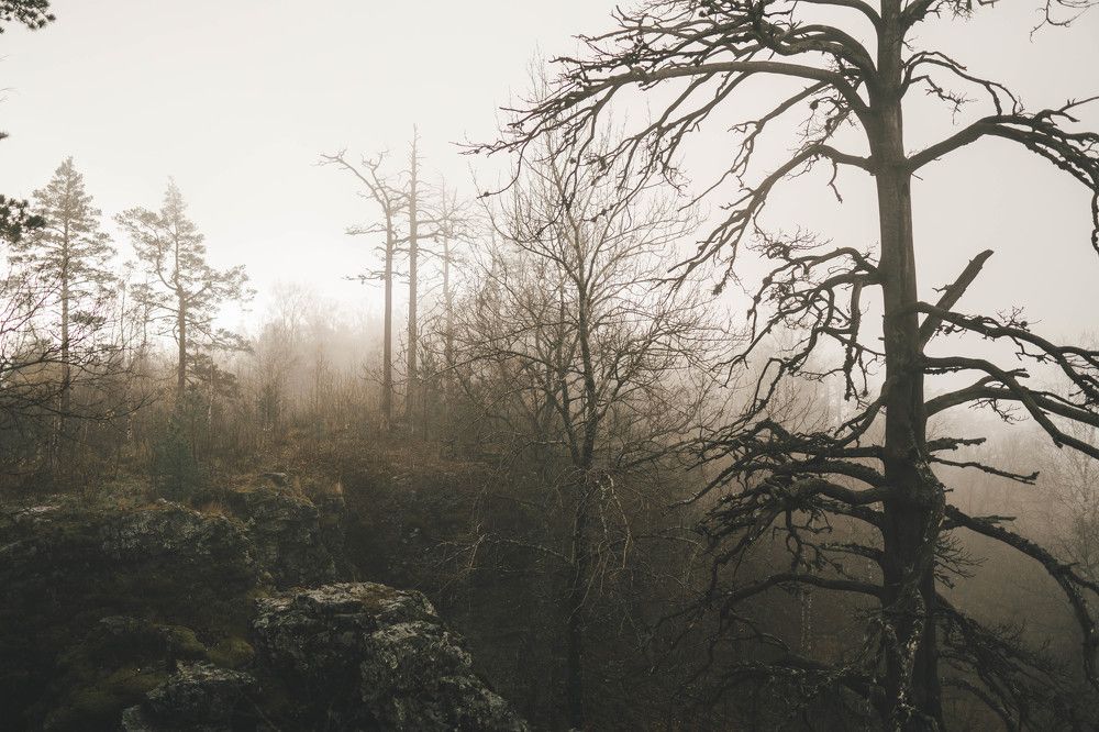 Photograph by Иван