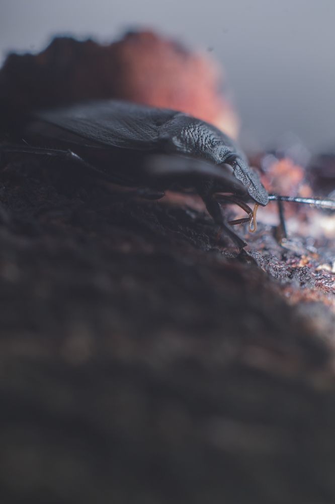 Photograph by jose david sacasas