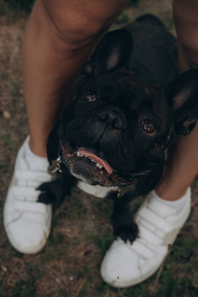 Photograph by Анна Балова