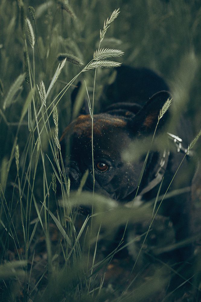 Photograph by Анна Балова