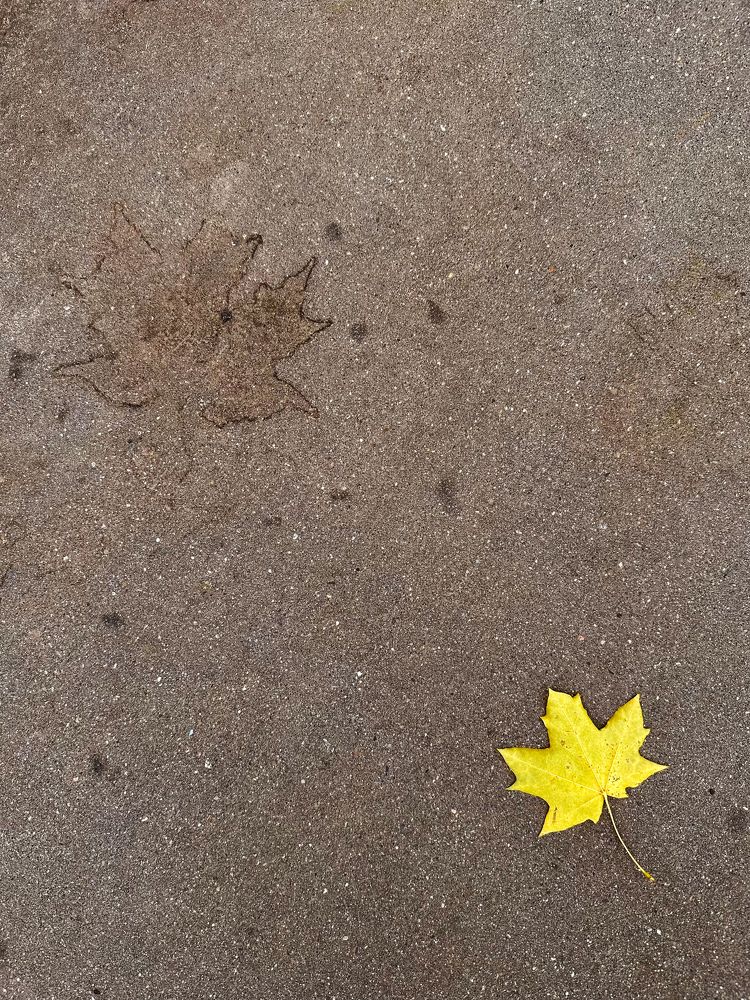 Photograph by Полина Самойлова