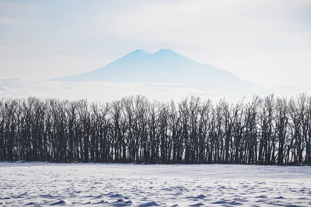 Photograph by Максим Сорокин