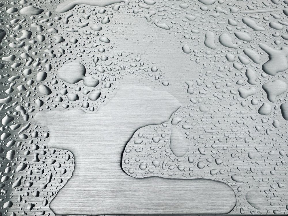 Photograph by Полина Самойлова