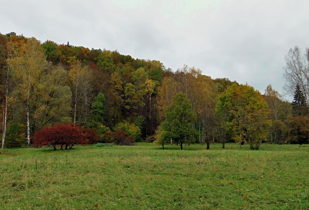 Photograph by Pjotr Alekseev