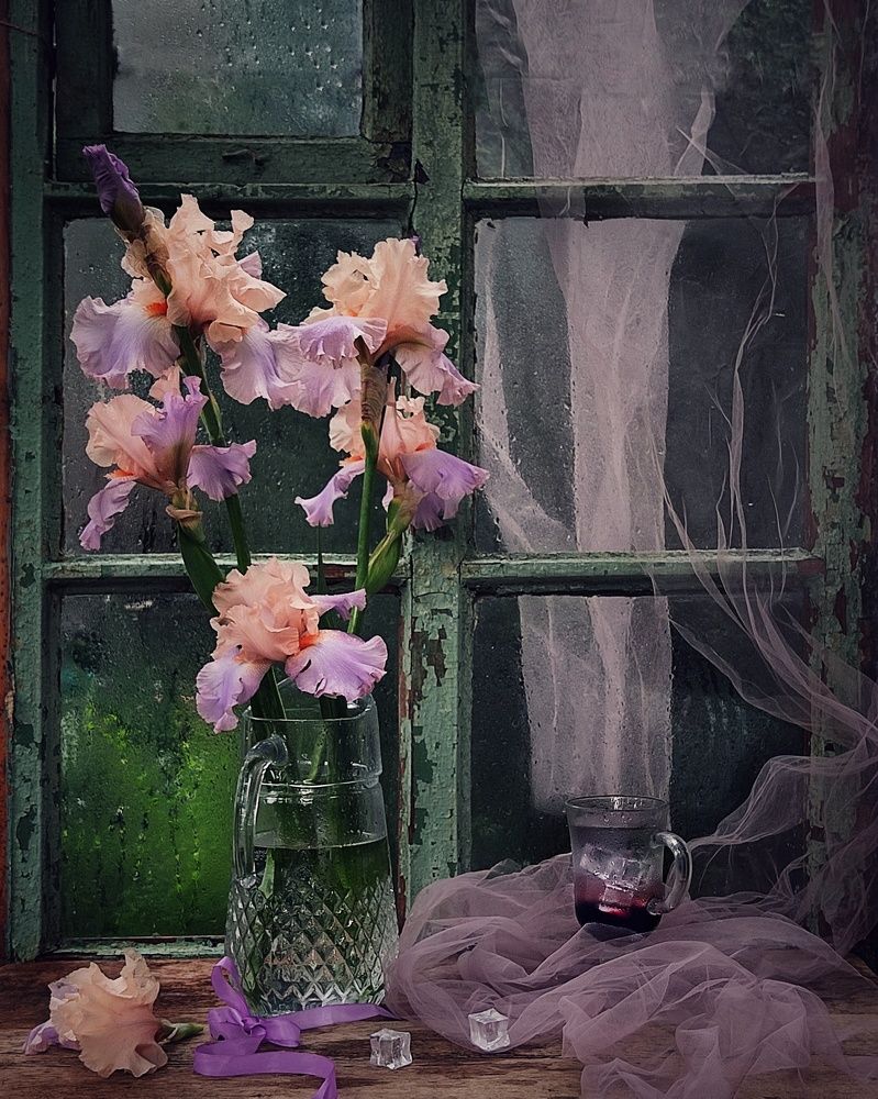 Фотография автора Инга