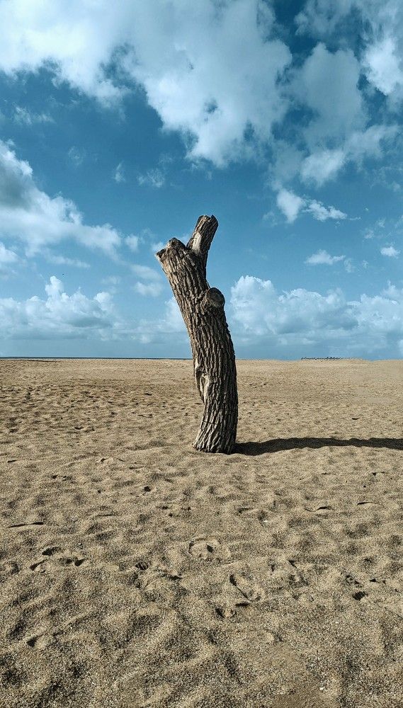 Photograph by Денис Терехин