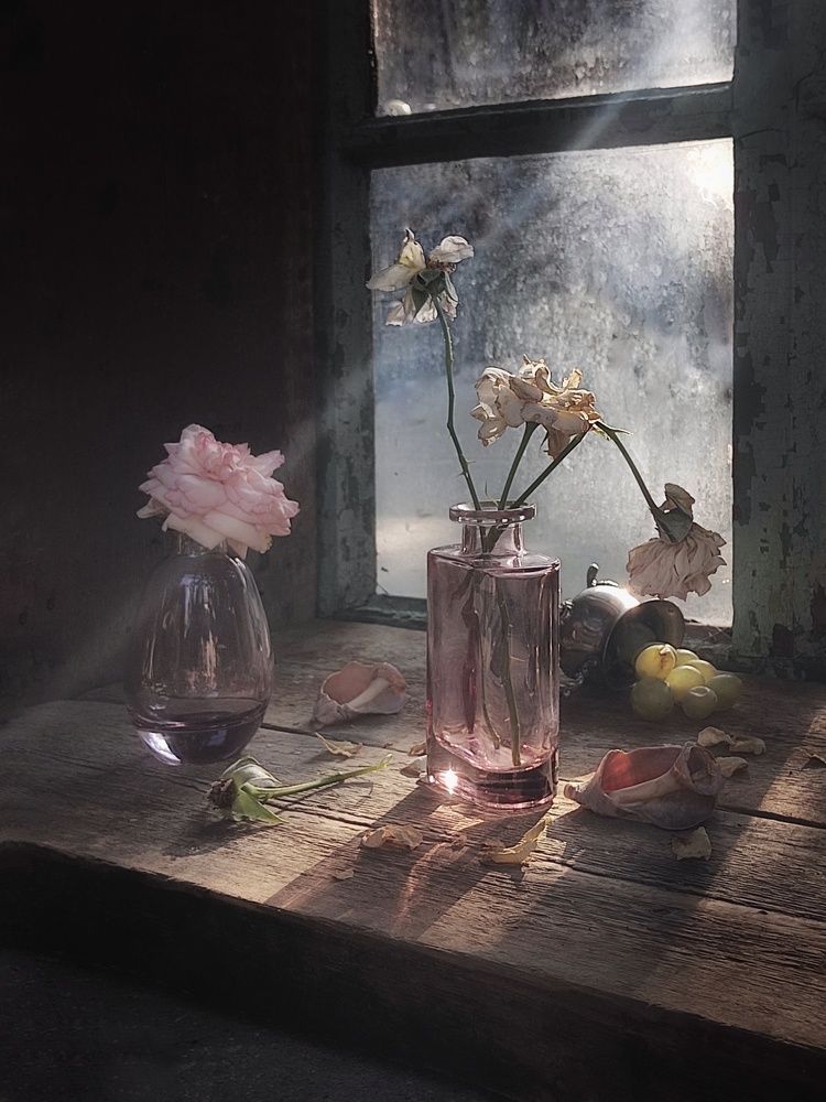 Фотография автора Инга