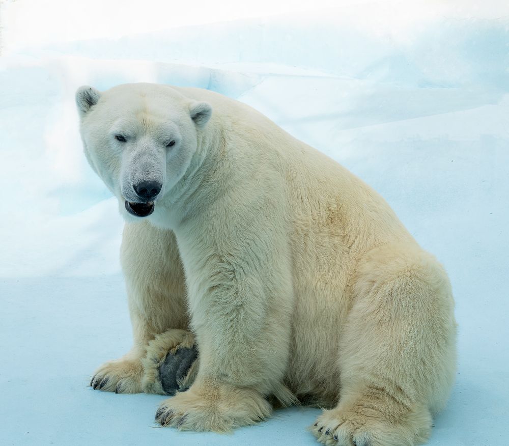 Photograph by Олеся Грекова