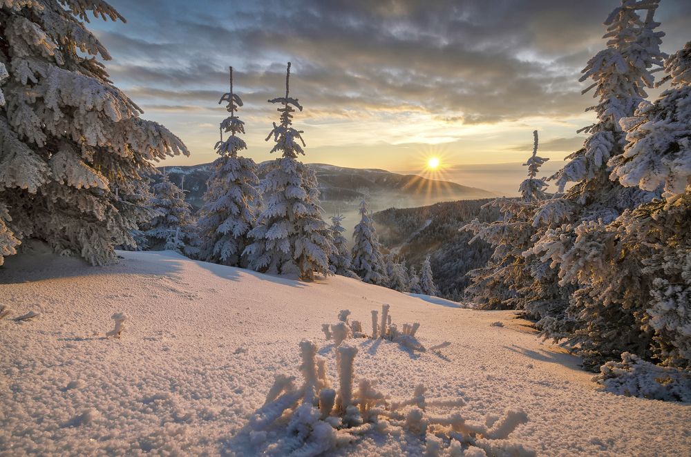 Photograph by Rostislav Bartoň