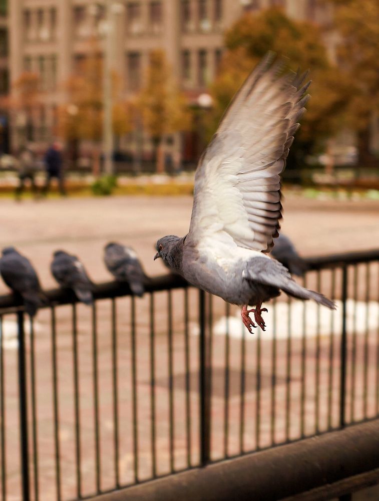 Photograph by Светлана Сафонова