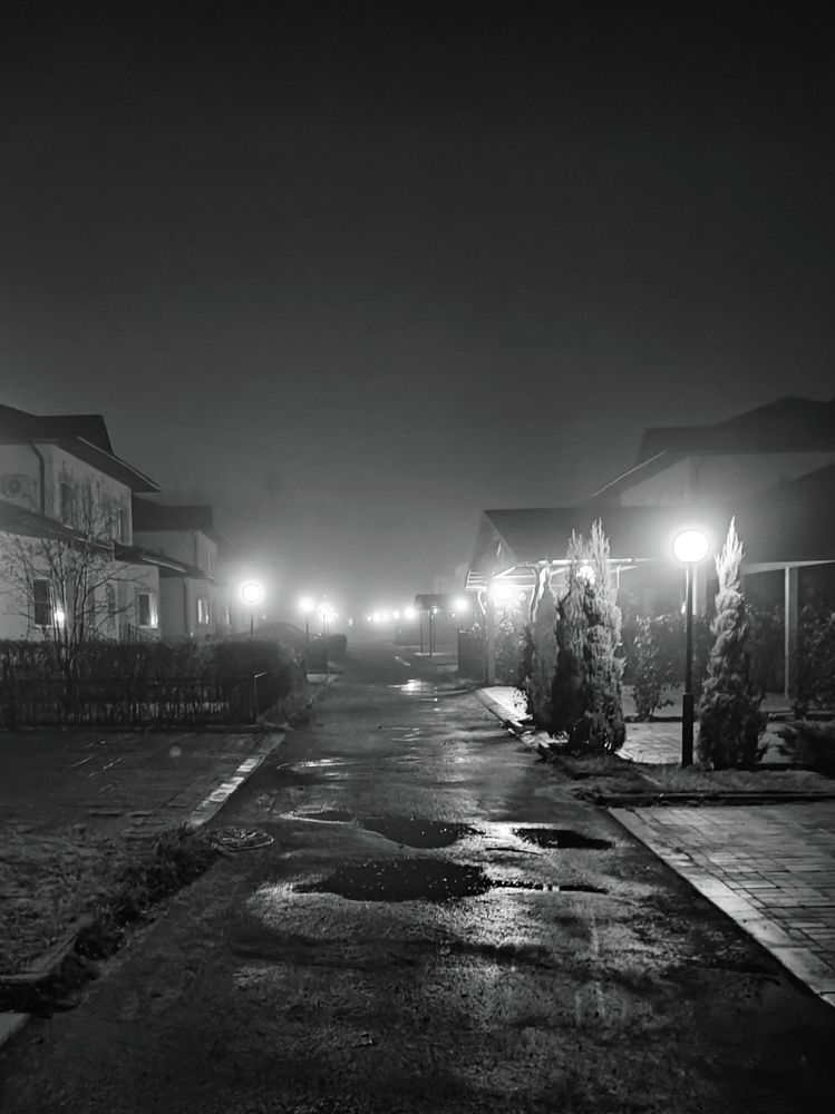 Photograph by Дмитрий Ромашов