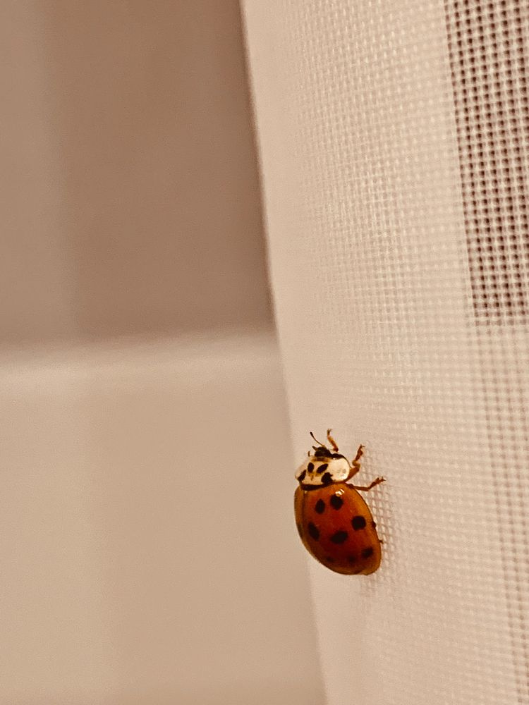 Photograph by Елена Макуха