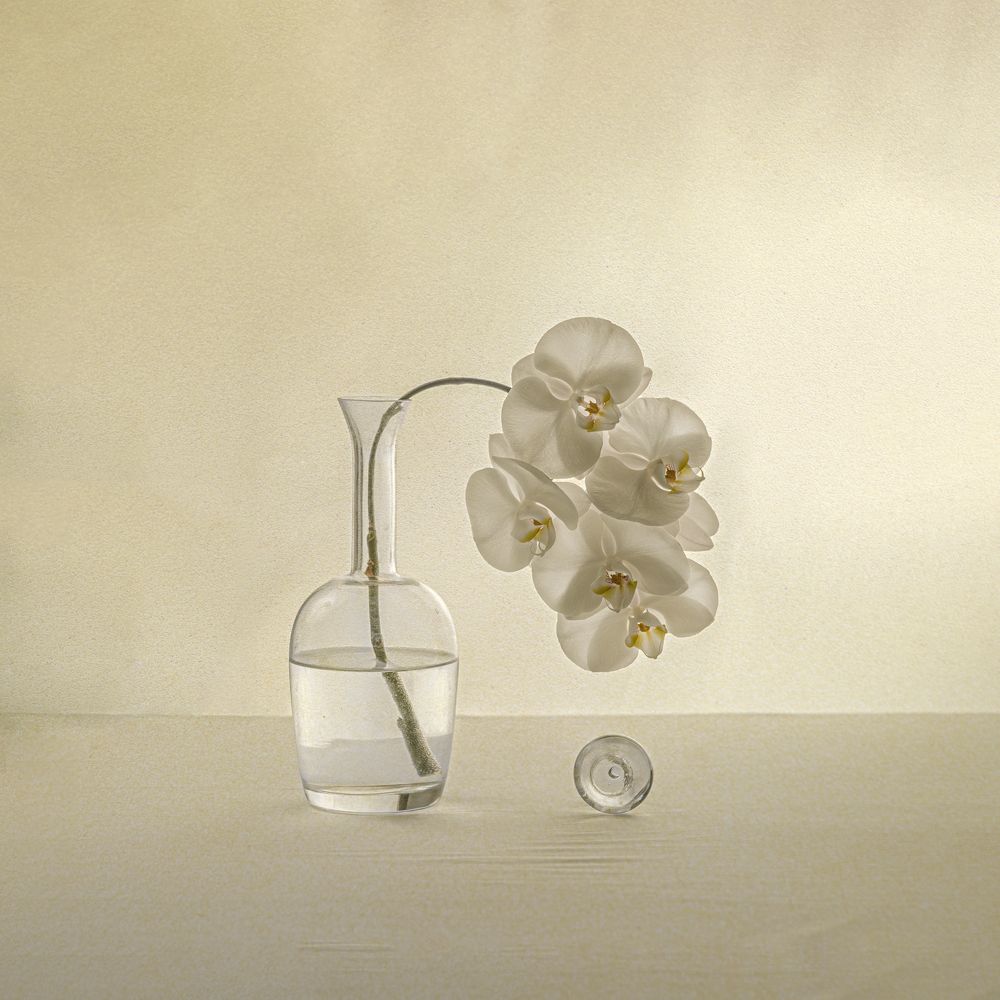 Фотография автора Ольга Афанасенко