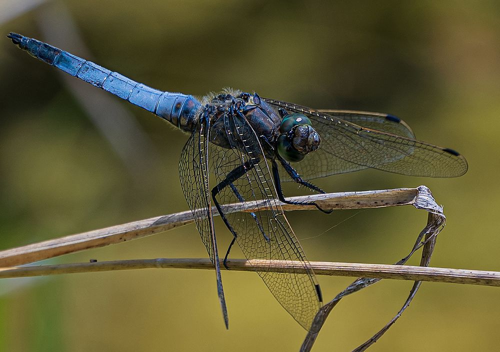 Photograph by Евгений Гонтов