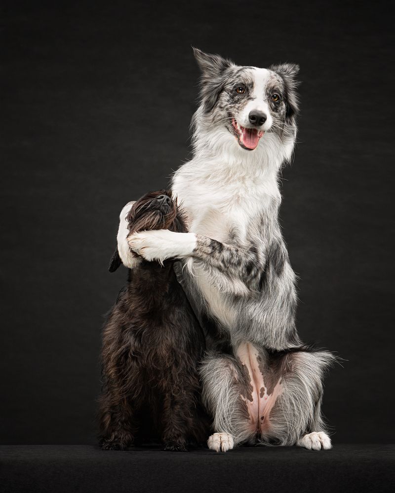 Photograph by Татьяна Полякова