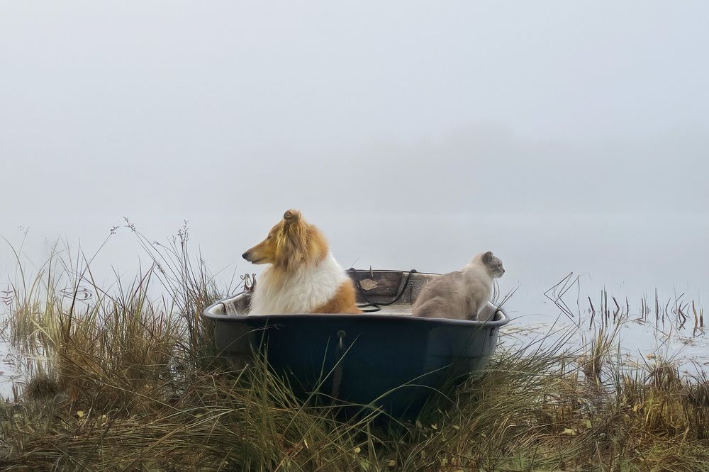 Photograph by LYUDMYLA POKRYSHEN