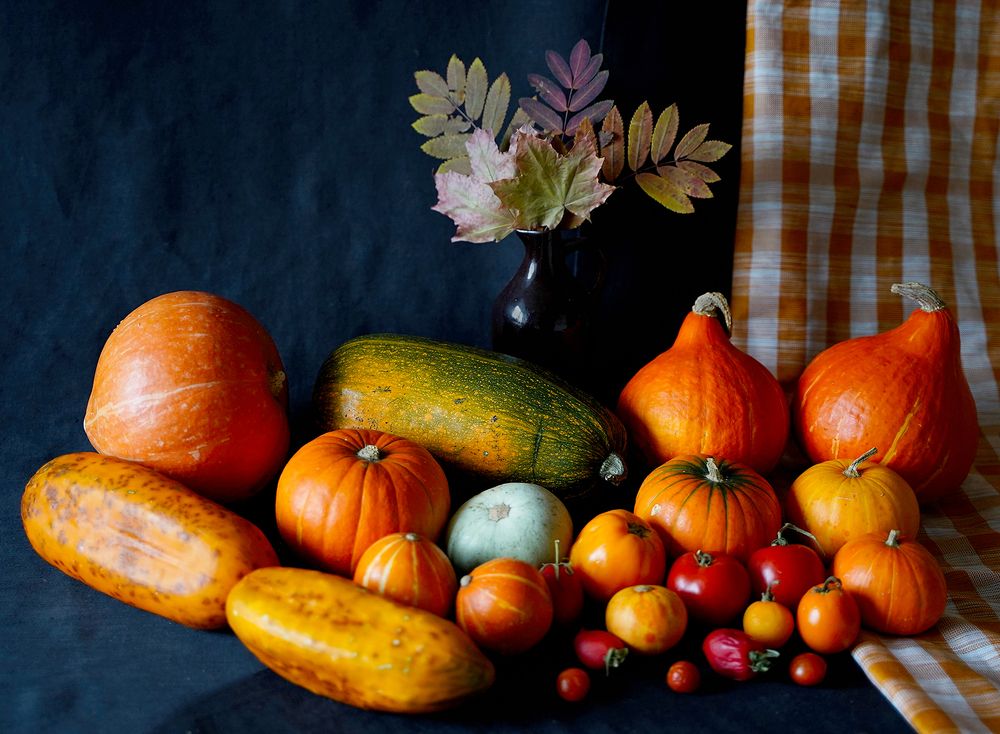 Подарок осени