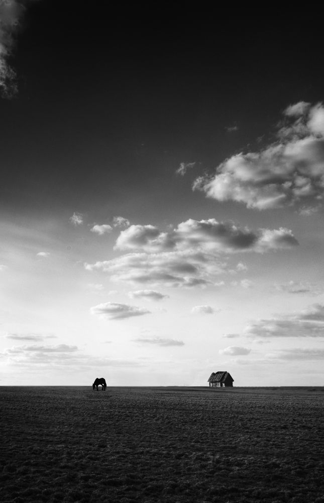 Photograph by Людмила Сиденко