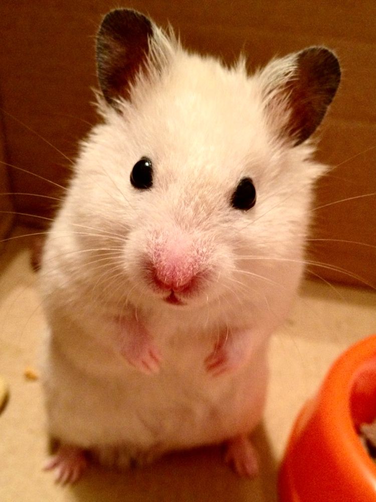 Photograph by Елена Макуха