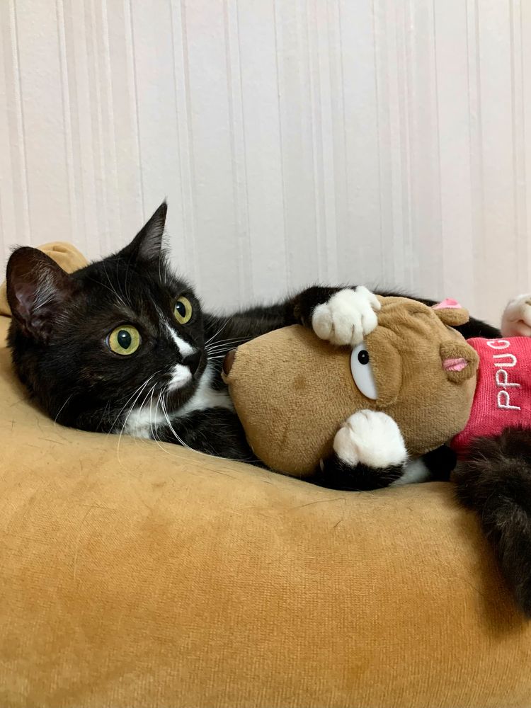 Photograph by Елена Макуха