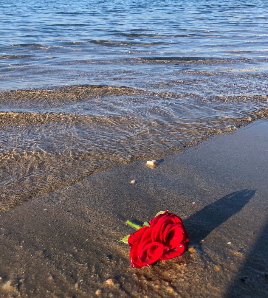 Photograph by Марина Георгиева