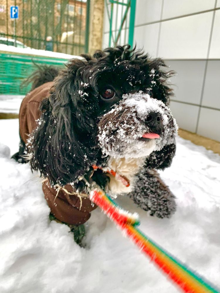 Photograph by Елена Макуха