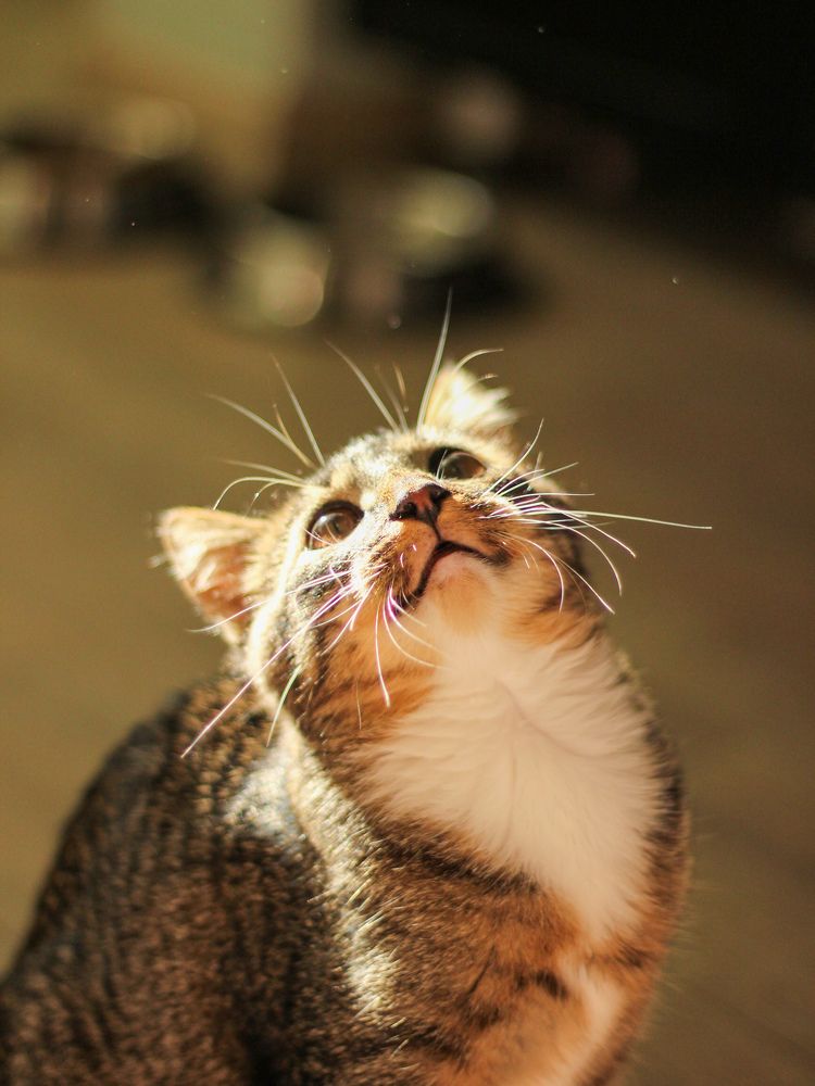 Photograph by Арина Киракосян