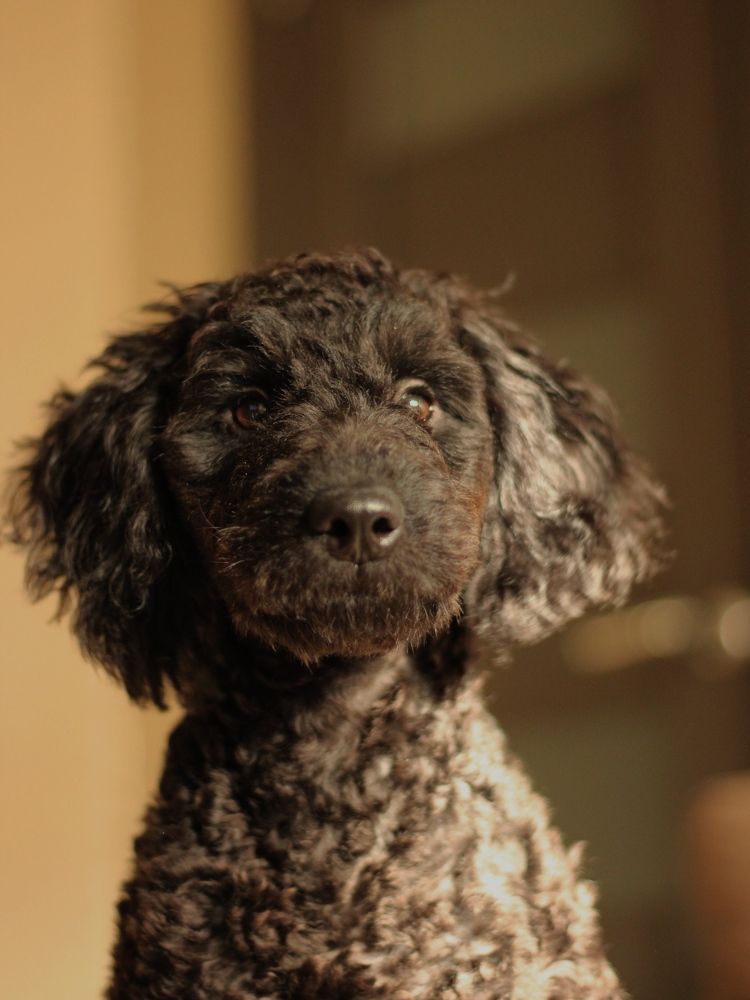 Photograph by Арина Киракосян