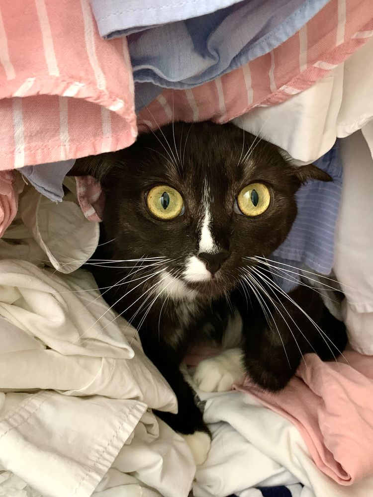 Photograph by Елена Макуха