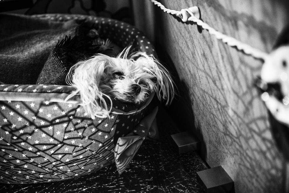 Photograph by Дмитрий Бахтадзе