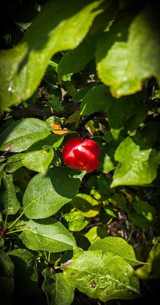 Photograph by Анастасия