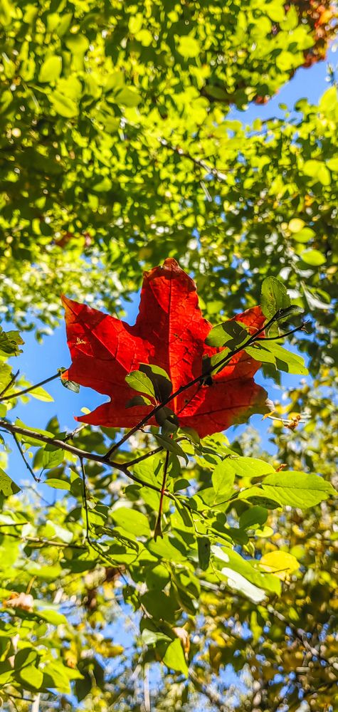 Photograph by Анастасия